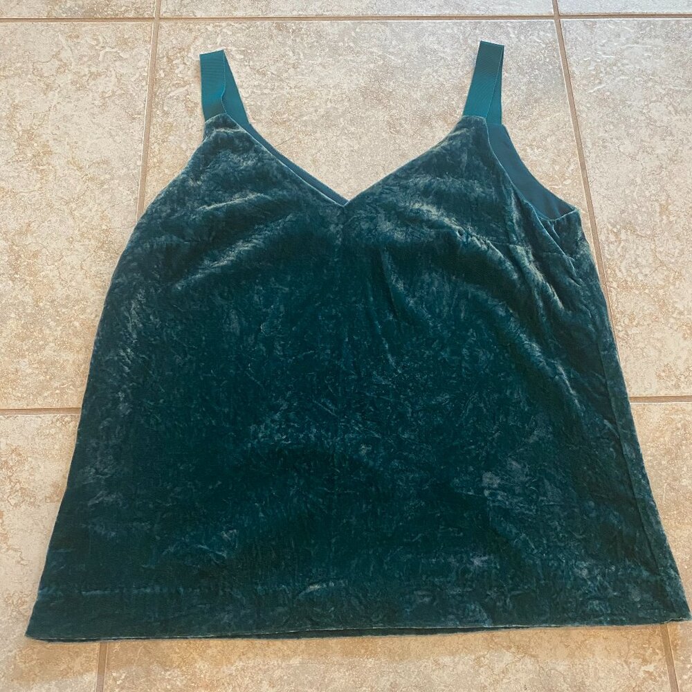 Teal Velour Blouse